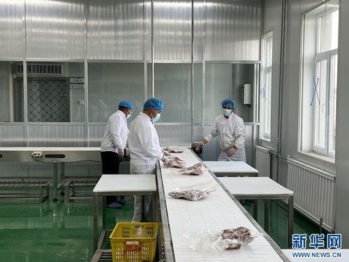 青海海南州 農(nóng)畜產(chǎn)品促振興，高原沃野展新顏